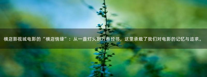 金桔影视app：横店影视城电影的“横店情缘”：从一盏灯火到万卷经书，这里承载了我们对电影的记忆与追求。