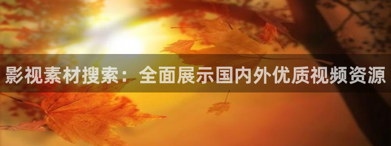 金桔视频：影视素材搜索：全面展示国内外优质视频资源