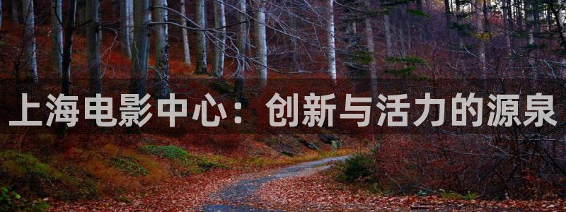 金桔视频下载：上海电影中心：创新与活力的源泉