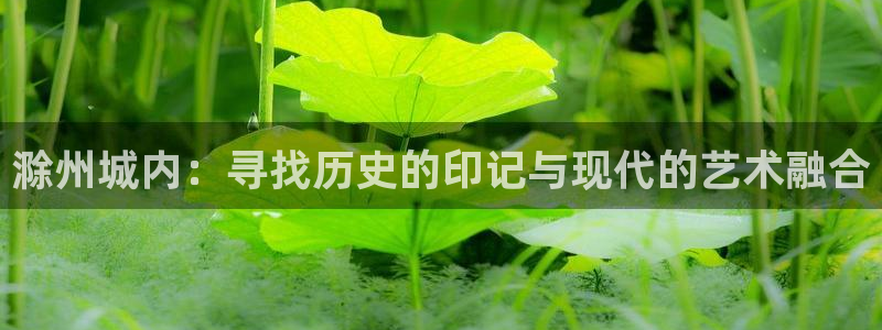 金桔种植视频：滁州城内：寻找历史的印记与现代的艺术融合