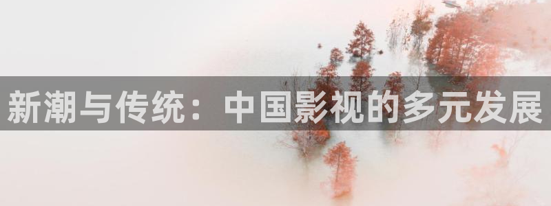金桔视频免费下载：新潮与传统：中国影视的多元发展